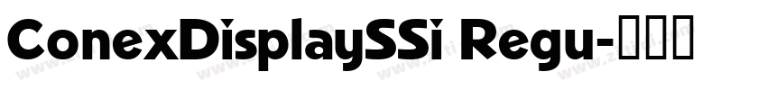 ConexDisplaySSi Regu字体转换